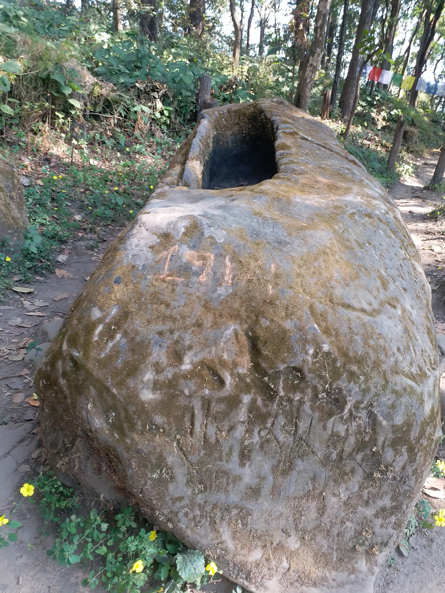 को थिए रस गुरौ थारू ?